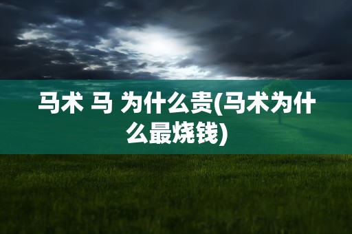 马术 马 为什么贵(马术为什么最烧钱)