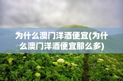 为什么澳门洋酒便宜(为什么澳门洋酒便宜那么多)