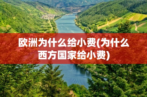 欧洲为什么给小费(为什么西方国家给小费)