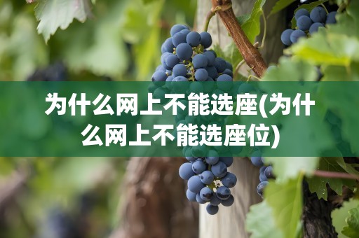 为什么网上不能选座(为什么网上不能选座位)