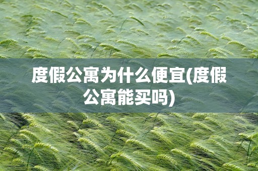 度假公寓为什么便宜(度假公寓能买吗)
