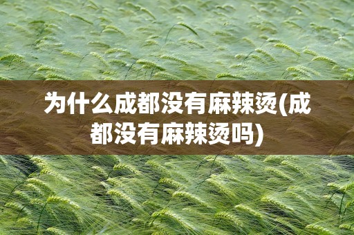 为什么成都没有麻辣烫(成都没有麻辣烫吗)