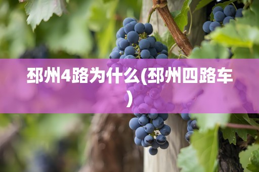 邳州4路为什么(邳州四路车)