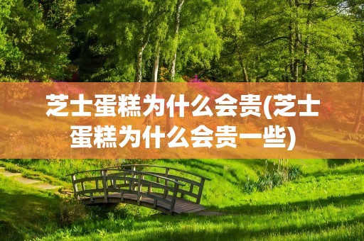 芝士蛋糕为什么会贵(芝士蛋糕为什么会贵一些)