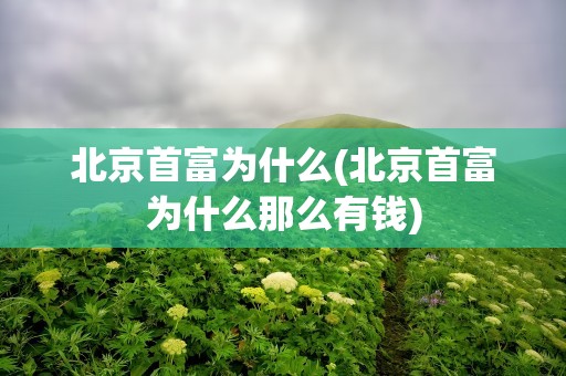 北京首富为什么(北京首富为什么那么有钱)