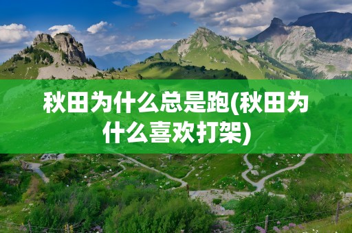 秋田为什么总是跑(秋田为什么喜欢打架)