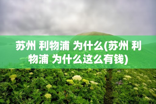 苏州 利物浦 为什么(苏州 利物浦 为什么这么有钱)