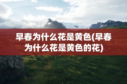 早春为什么花是黄色(早春为什么花是黄色的花)