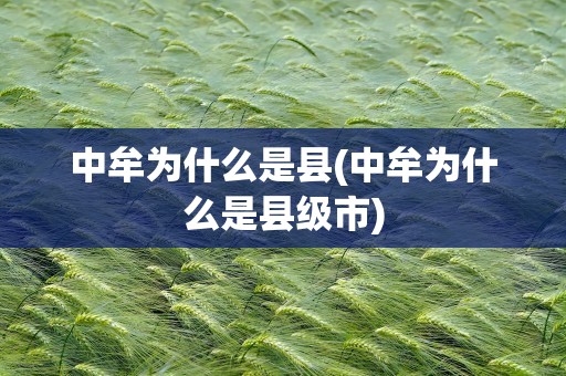 中牟为什么是县(中牟为什么是县级市)