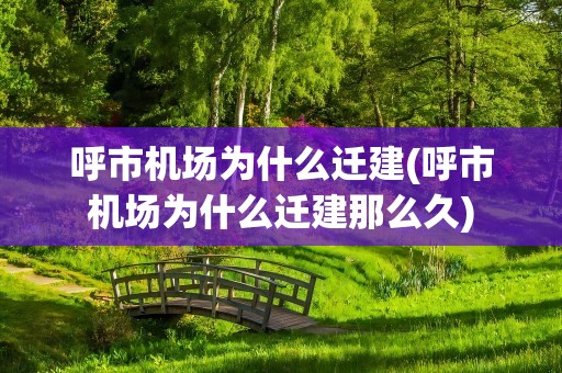 呼市机场为什么迁建(呼市机场为什么迁建那么久)