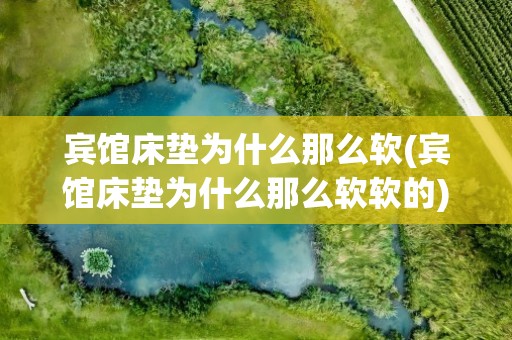 宾馆床垫为什么那么软(宾馆床垫为什么那么软软的)
