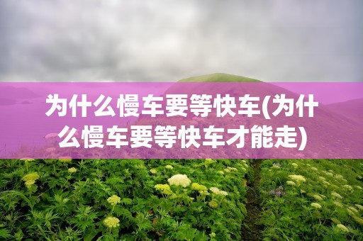 为什么慢车要等快车(为什么慢车要等快车才能走)