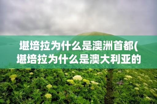 堪培拉为什么是澳洲首都(堪培拉为什么是澳大利亚的首都)