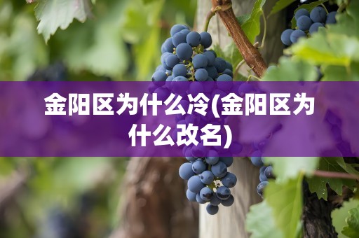 金阳区为什么冷(金阳区为什么改名)