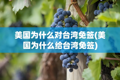 美国为什么对台湾免签(美国为什么给台湾免签)
