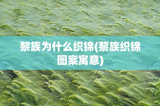 黎族为什么织锦(黎族织锦图案寓意)