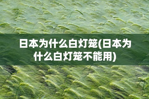 日本为什么白灯笼(日本为什么白灯笼不能用)