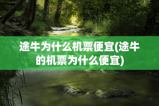 途牛为什么机票便宜(途牛的机票为什么便宜)