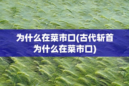 为什么在菜市口(古代斩首为什么在菜市口)