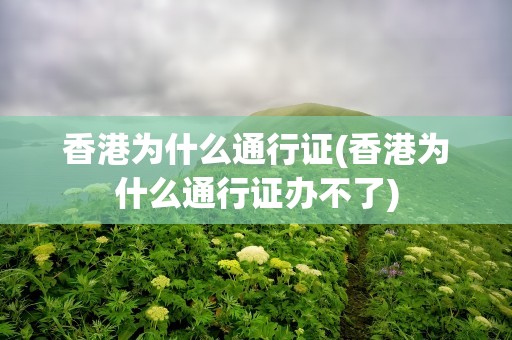 香港为什么通行证(香港为什么通行证办不了)