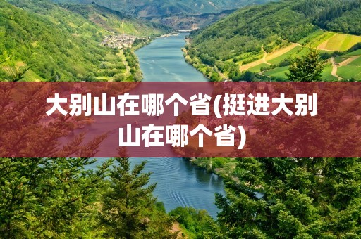 大别山在哪个省(挺进大别山在哪个省)