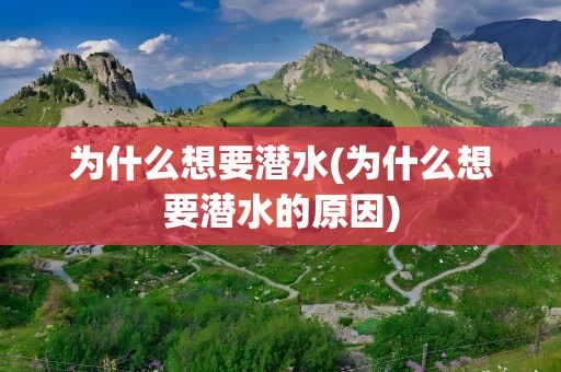 为什么想要潜水(为什么想要潜水的原因)