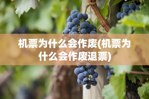 机票为什么会作废(机票为什么会作废退票)