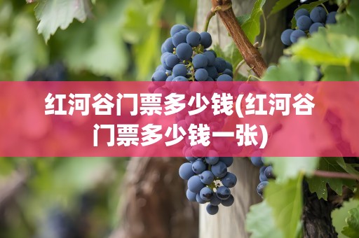 红河谷门票多少钱(红河谷门票多少钱一张)