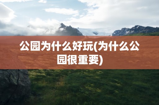 公园为什么好玩(为什么公园很重要)