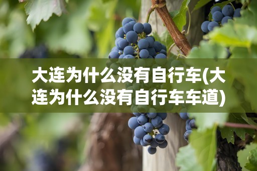 大连为什么没有自行车(大连为什么没有自行车车道)