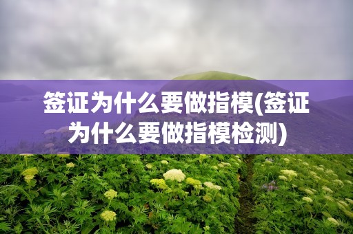 签证为什么要做指模(签证为什么要做指模检测)