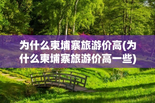 为什么柬埔寨旅游价高(为什么柬埔寨旅游价高一些)