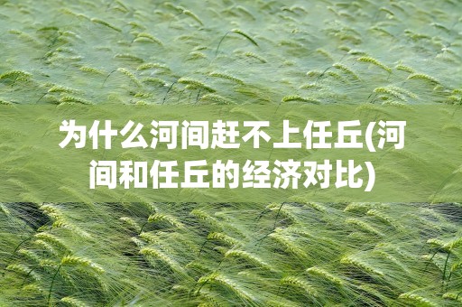 为什么河间赶不上任丘(河间和任丘的经济对比)