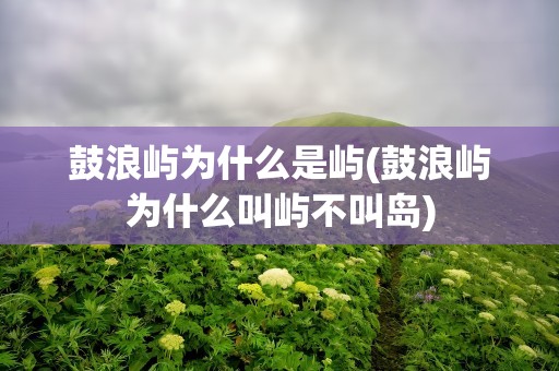 鼓浪屿为什么是屿(鼓浪屿为什么叫屿不叫岛)