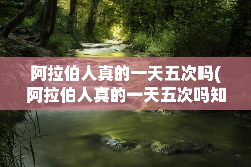 阿拉伯人真的一天五次吗(阿拉伯人真的一天五次吗知乎)