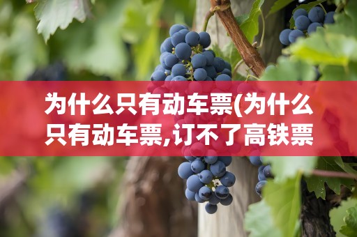 为什么只有动车票(为什么只有动车票,订不了高铁票)