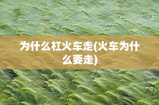 为什么杠火车走(火车为什么要走)