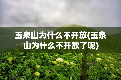玉泉山为什么不开放(玉泉山为什么不开放了呢)