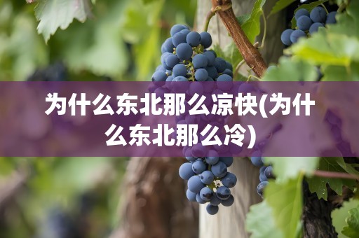 为什么东北那么凉快(为什么东北那么冷)