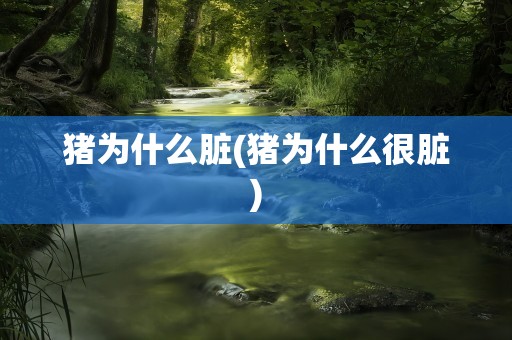 猪为什么脏(猪为什么很脏)