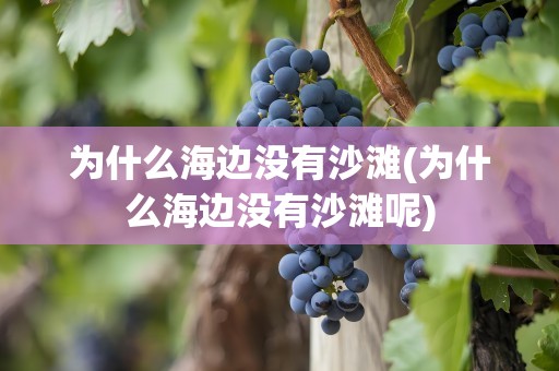为什么海边没有沙滩(为什么海边没有沙滩呢)