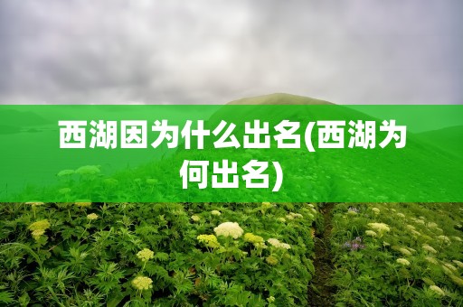 西湖因为什么出名(西湖为何出名)