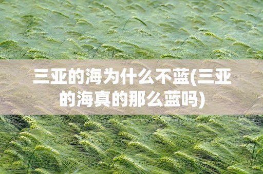 三亚的海为什么不蓝(三亚的海真的那么蓝吗)