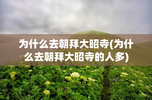 为什么去朝拜大昭寺(为什么去朝拜大昭寺的人多)