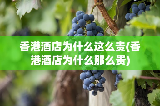 香港酒店为什么这么贵(香港酒店为什么那么贵)