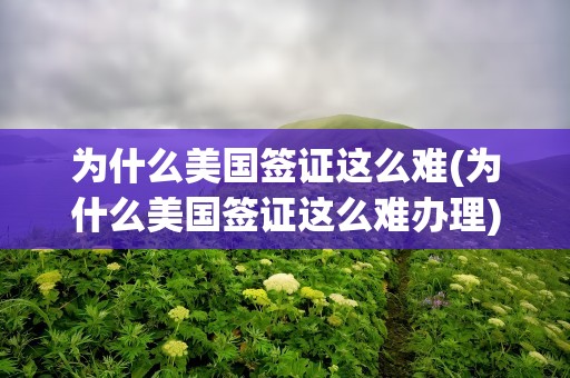 为什么美国签证这么难(为什么美国签证这么难办理)