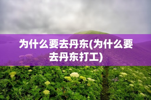 为什么要去丹东(为什么要去丹东打工)