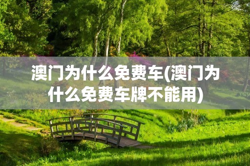 澳门为什么免费车(澳门为什么免费车牌不能用)