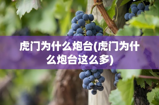 虎门为什么炮台(虎门为什么炮台这么多)