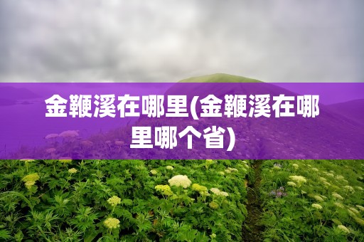 金鞭溪在哪里(金鞭溪在哪里哪个省)